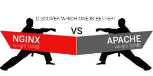 nginx fast web server