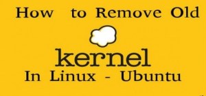 Kernel Old Remove